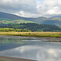 Buy canvas prints of The Dyfi estuary Wales by Diana Mower