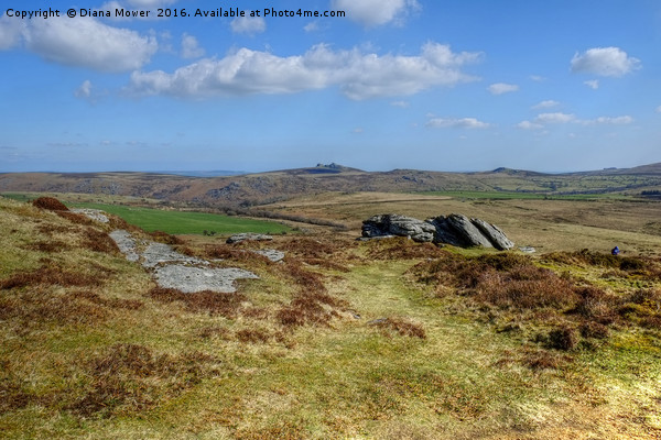 Hay Tor From Chinkwell Tor Picture Board by Diana Mower