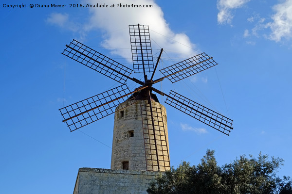 Xarolla Windmill, Malta. Picture Board by Diana Mower