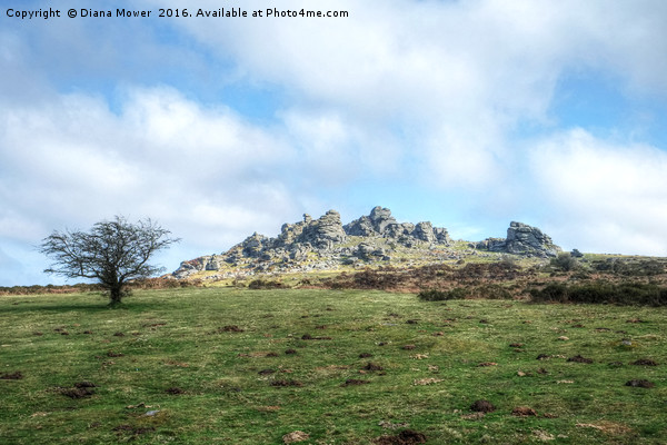 Hound Tor Dartmoor Picture Board by Diana Mower