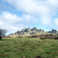 Buy canvas prints of Hound Tor Dartmoor by Diana Mower