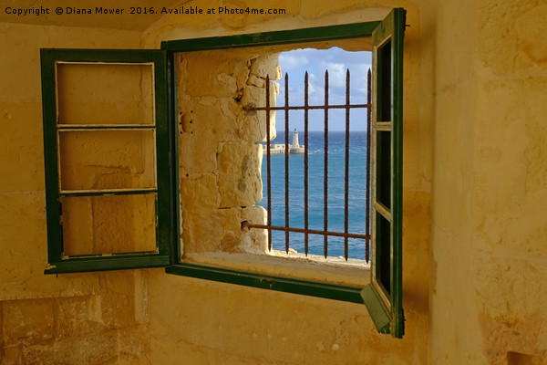Fort Saint Elmo Valletta Picture Board by Diana Mower