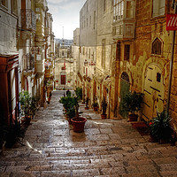 Buy canvas prints of Valletta Street by Diana Mower