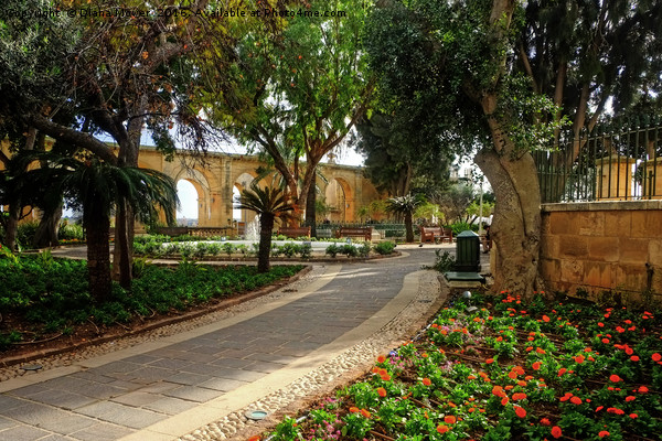 Upper Barrakka Gardens, Valletta. Picture Board by Diana Mower