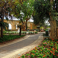 Buy canvas prints of Upper Barrakka Gardens, Valletta. by Diana Mower