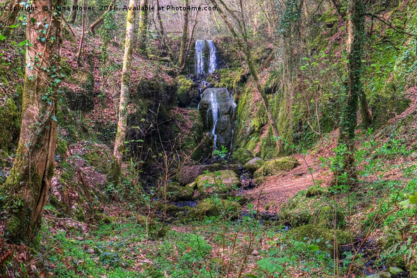 Clampit Falls, Devon. Picture Board by Diana Mower