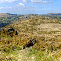 Buy canvas prints of Honeybag Tor Devon by Diana Mower