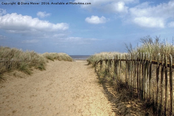 Mablethorpe beach Lincolnshire Picture Board by Diana Mower