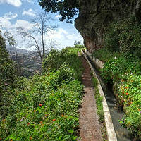 Buy canvas prints of Levada do Norte, Madeira by Diana Mower