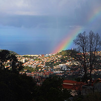 Buy canvas prints of Rainbow over Funchal by Diana Mower