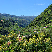 Buy canvas prints of The Ribeira de Machico Valley, Madeira by Diana Mower
