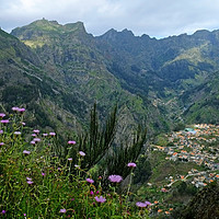Buy canvas prints of The Nuns Valley Madeira by Diana Mower