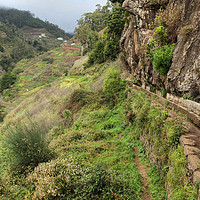 Buy canvas prints of Levada do Norte Madeira by Diana Mower