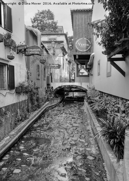 Old Town Funchal Picture Board by Diana Mower