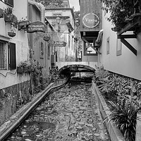 Buy canvas prints of Old Town Funchal by Diana Mower