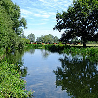 Buy canvas prints of River Chelmer by Diana Mower
