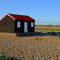 Buy canvas prints of Rye Harbour by Diana Mower