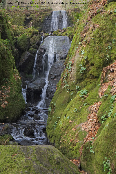 Clampit Falls, Devon. Picture Board by Diana Mower