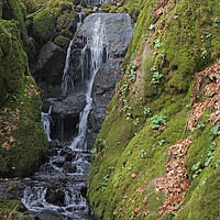 Buy canvas prints of Clampit Falls, Devon. by Diana Mower