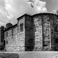 Buy canvas prints of Colchester Castle by Diana Mower