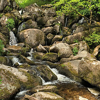 Buy canvas prints of Becky Falls Devon by Diana Mower