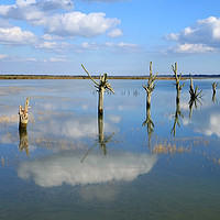 Buy canvas prints of Tollesbury Marshes at High Tide by Diana Mower