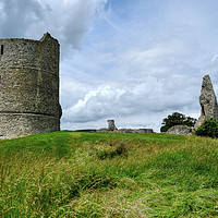 Buy canvas prints of Hadleigh Castle by Diana Mower