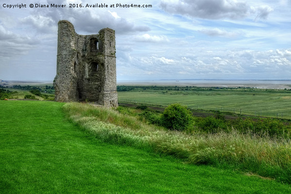 Hadleigh Castle Picture Board by Diana Mower
