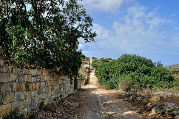 The Roman road Malta Picture Board by Diana Mower