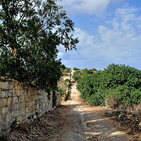 Buy canvas prints of The Roman road Malta by Diana Mower