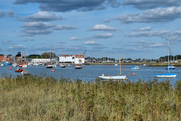 River Deben Suffolk Picture Board by Diana Mower