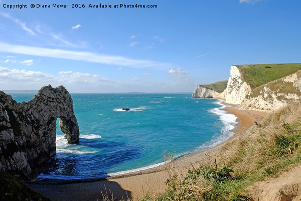 Durdle Door Beach  Picture Board by Diana Mower