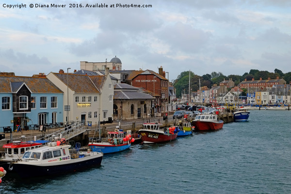 Weymouth Harbour early evening Picture Board by Diana Mower