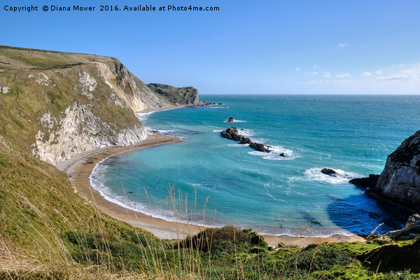 Man 'O War Bay, Dorset. Picture Board by Diana Mower