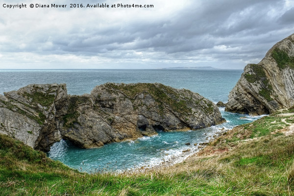 Stair Hole, Dorset. Picture Board by Diana Mower