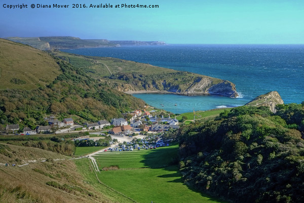 Lulworth Cove Dorset Picture Board by Diana Mower