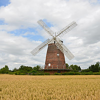 Buy canvas prints of Thaxted Windmill by Diana Mower