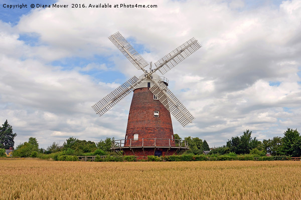 Thaxted windmill Picture Board by Diana Mower