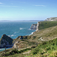 Buy canvas prints of The South West Coast path  Dorset. by Diana Mower
