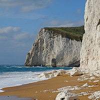 Buy canvas prints of Durdle Door beach and  cliffs by Diana Mower