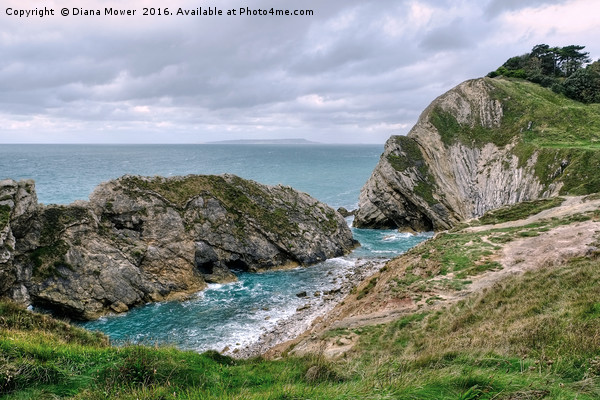  Stair Hole, Lulworth Cove Dorset Picture Board by Diana Mower