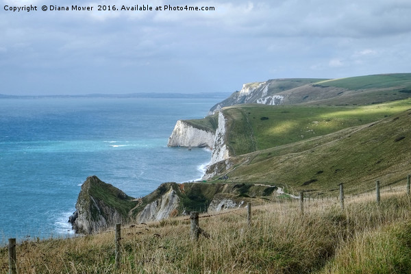 The Jurassic coast, Dorset. Picture Board by Diana Mower