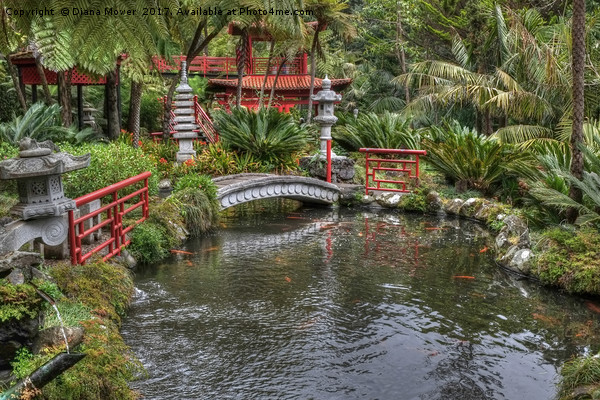 Japanese Garden Madeira Picture Board by Diana Mower