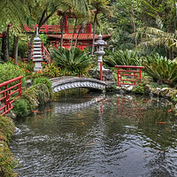Buy canvas prints of Japanese Garden Madeira by Diana Mower