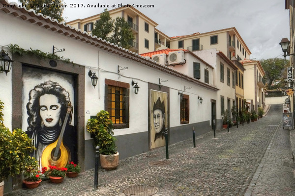 Old Town Funchal Madeira Picture Board by Diana Mower