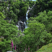 Buy canvas prints of Aber Falls  by Diana Mower