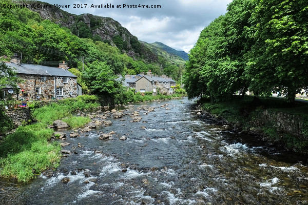 The river at Beddgelert   Picture Board by Diana Mower