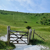 Buy canvas prints of The Long Man of Wilmington by Diana Mower