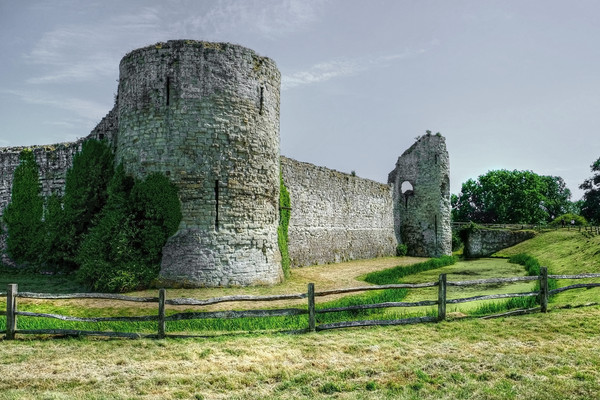 Pevensey Castle Picture Board by Diana Mower