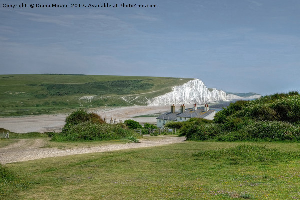 The Seven Sisters and The Cuckmere Valley Picture Board by Diana Mower